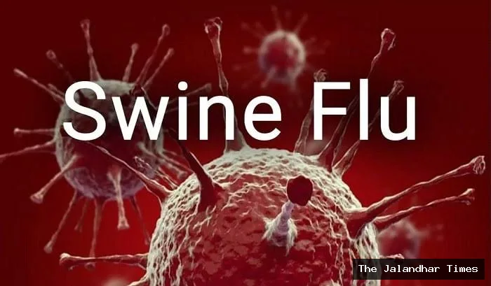 Swine Flu Concern in Jalandhar: 55-Year-Old Woman Tests Positive, Cases Reach 30