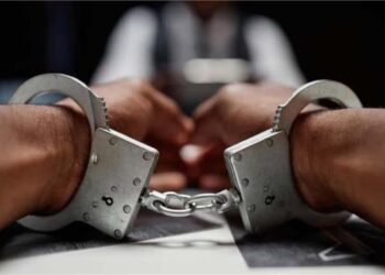 Jalandhar police arrested fake police gang involved in robbery